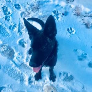 Meet your Posher, Kalyn